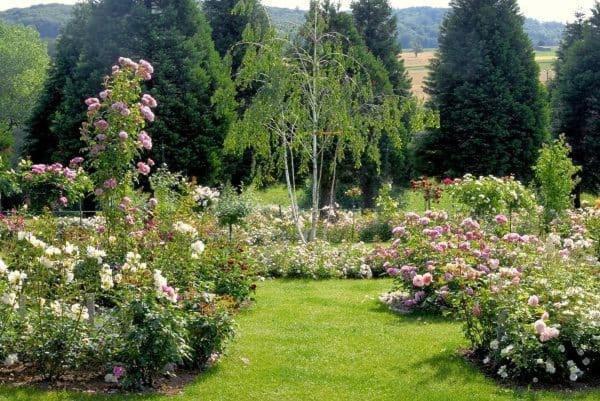 Landhaus Ettenbuehl Bed And Breakfast Bad Bellingen Exterior foto
